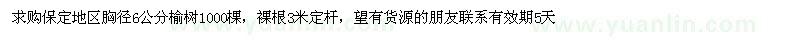 求購(gòu)胸徑6公分榆樹