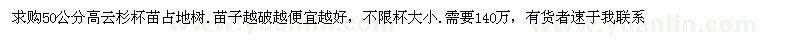 求購高50公分云杉杯苗