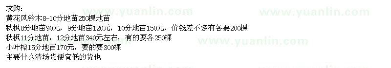 求購黃花風(fēng)鈴木、秋楓、小葉榕