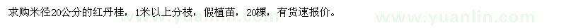 求購米徑20公分紅丹桂