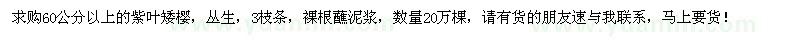 求購60公分以上紫葉矮櫻