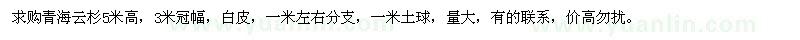 求購(gòu)高5米青海云杉