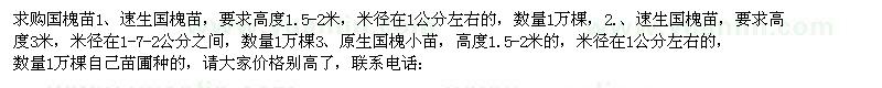 求購國槐當(dāng)年苗