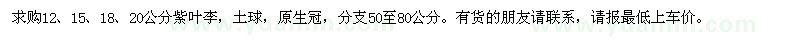 求購12、15、18、20公分紫葉李