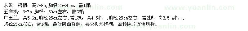 求購(gòu)梧桐、五角楓、廣玉蘭