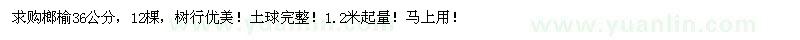 求購(gòu)36公分榔榆