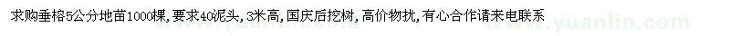 求購5公分垂榕地苗
