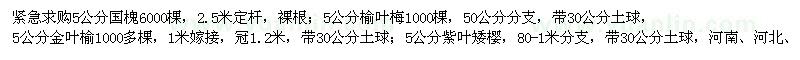 求購國槐、榆葉梅、金葉榆、紫葉矮櫻