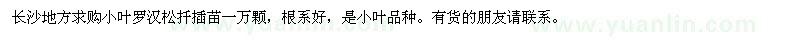 求購小葉羅漢松扦插苗