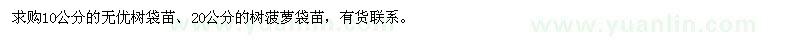 求購10公分無優(yōu)樹、20公分樹菠蘿