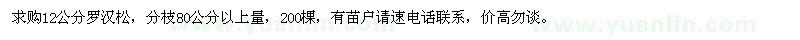 求購12公分羅漢松