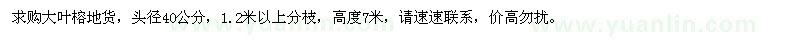 求購頭徑40公分大葉榕