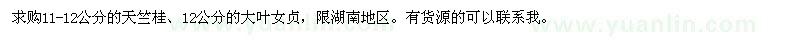求購11-12公分天竺桂、12公分大葉女貞