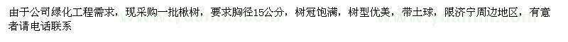 求購胸徑15公分楸樹