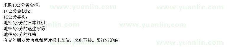 求購(gòu)黃金槐、金錢(qián)松、喜樹(shù)