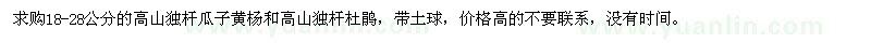 求購高山獨桿瓜子黃楊、高山獨桿杜鵑