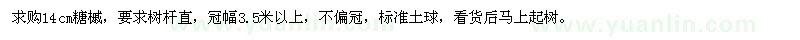 求購14公分糖槭