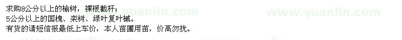 求購(gòu)榆樹(shù)、國(guó)槐、欒樹(shù)