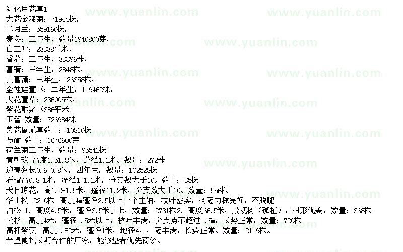 求購(gòu)大花金雞菊、二月蘭、麥冬等綠化用花草