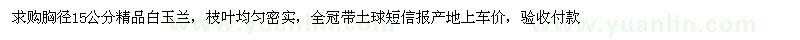 求購胸徑15公分白玉蘭