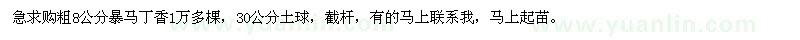 求購(gòu)8公分暴馬丁香