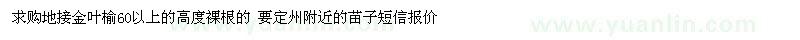 求購高60公分以上地接金葉榆 