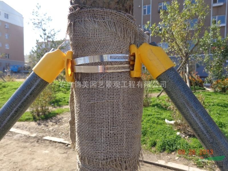 钢管支撑合成支撑塑钢支撑树支撑
