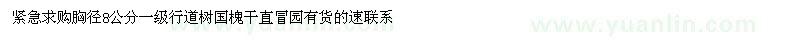 求購胸徑8公分國槐