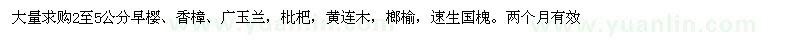 求購2-5公分早櫻、香樟、廣玉蘭