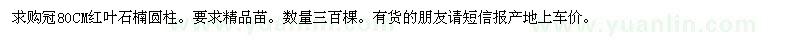 求購冠80公分紅葉石楠柱