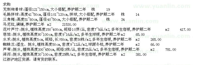 求購無刺枸骨球、毛鵑球、馬尼拉等