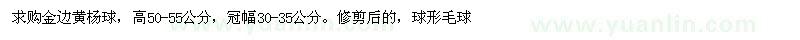 求購高50-55公分金邊黃楊球