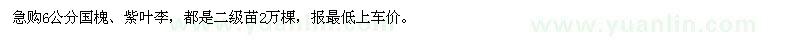求購6公分國槐、紫葉李
