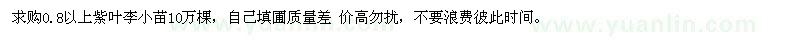 求購0.8以上紫葉李小苗