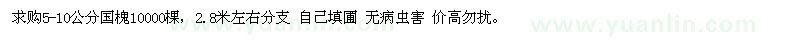 求購5-10公分國槐