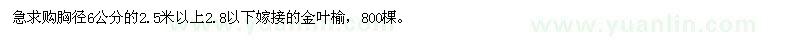 求購(gòu)嫁接金葉榆