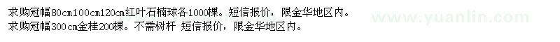 求購紅葉石楠球