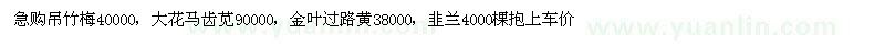 求購(gòu)吊竹梅、大花馬齒莧、金葉過(guò)路黃