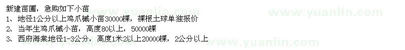 求購雞爪槭、五角楓、紅葉李