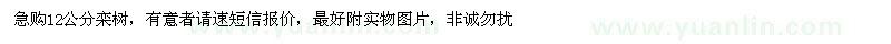 求購12公分欒樹