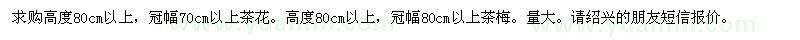 求購茶花、茶梅