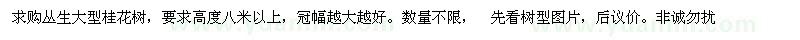 求購叢生大型桂花樹