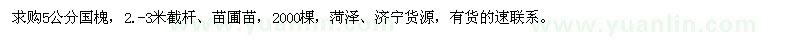 求購5公分國槐