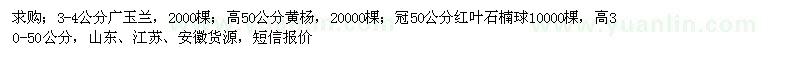 求購廣玉蘭、黃楊、紅葉石楠球