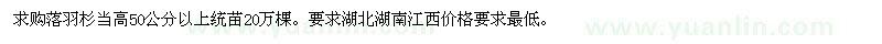 求購高50公分以上落羽杉