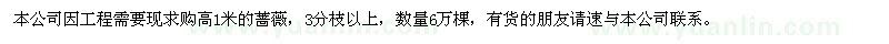 求購高1米薔薇