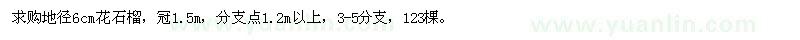 求購地徑6公分花石榴