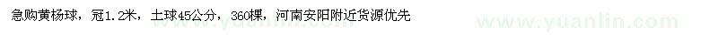 求購冠1.2米黃楊球