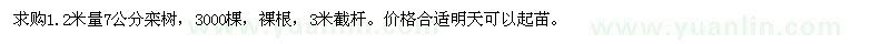 求購1.2米量7公分欒樹