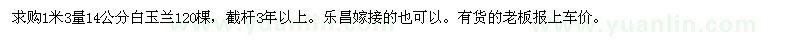 求購1米3量14公分白玉蘭